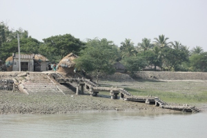 Another dwelling at the Sundarbans
