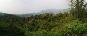 Another Panorama @ Soochipara